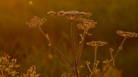 2022 13 en 22 juli 200